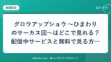 hr-card-5433-q81